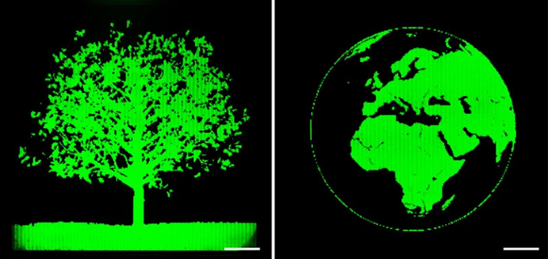  Источник изображения: Nature 2025 