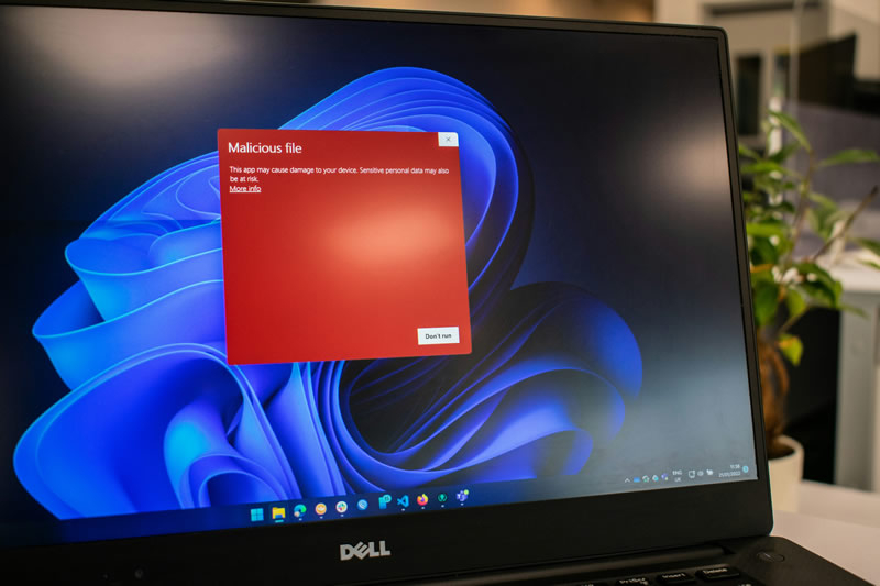 Microsoft        Windows,    