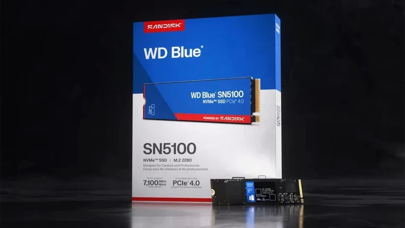 Sandisk выпустила быстрые SSD WD Blue SN5100 — до 4 Тбайт и до 44 % быстрее предшественников