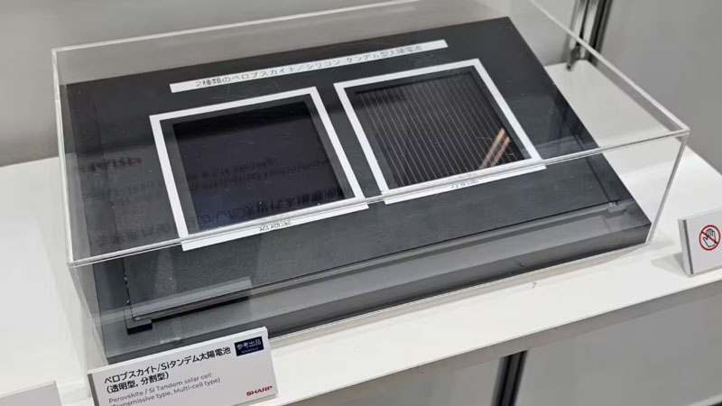 Sharp выйдет на рынок перовскитных солнечных панелей в 2027 году, чтобы изгнать из Японии китайский солнечный кремний