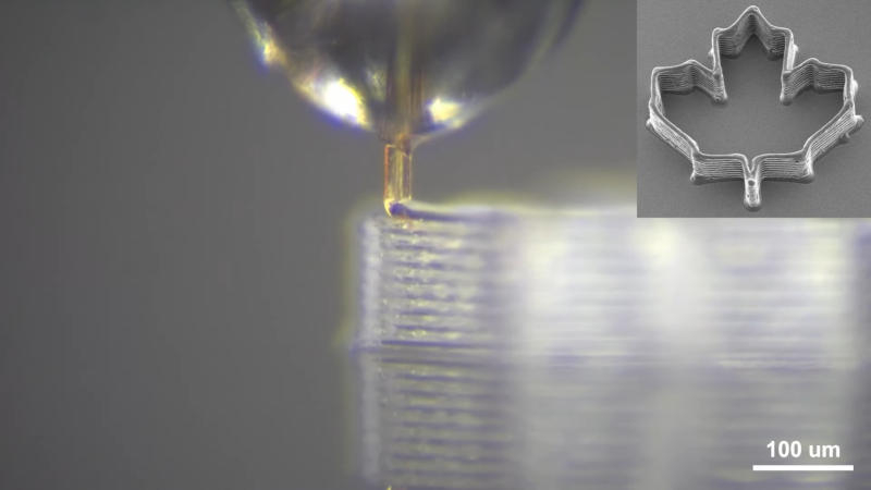 Комариный хоботок приспособили под сопло для 3D-микропечати — тоньше, дешевле и лучше искусственных