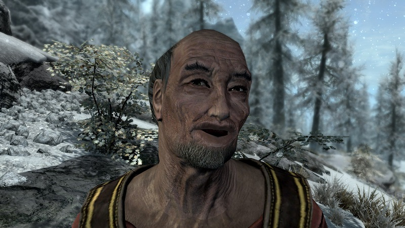 Её не существует: Тодд Говард призвал всех забыть, что Bethesda анонсировала The Elder Scrolls VI