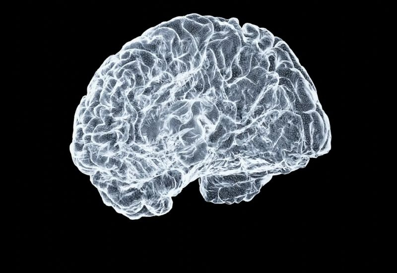 ���������&nbsp; �������� �������� �� ��� ���� ������� �� ������������ Neuralink