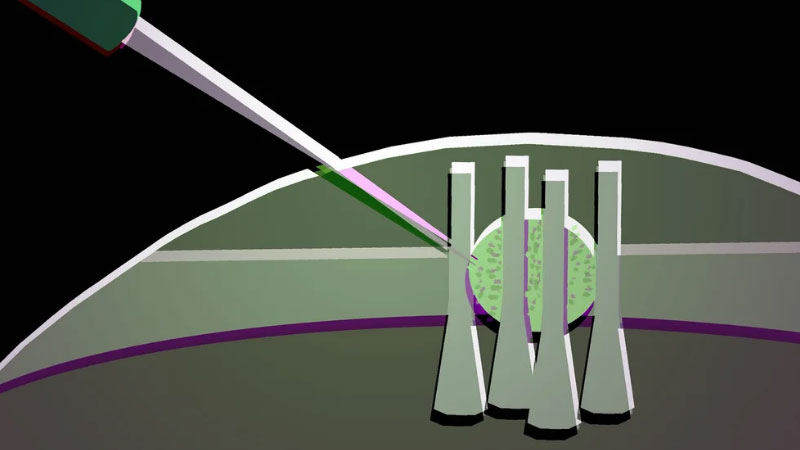 ������&nbsp; ���������� ����� ������� ��������� � ���������� ���������� ��� ������ ���������� �����