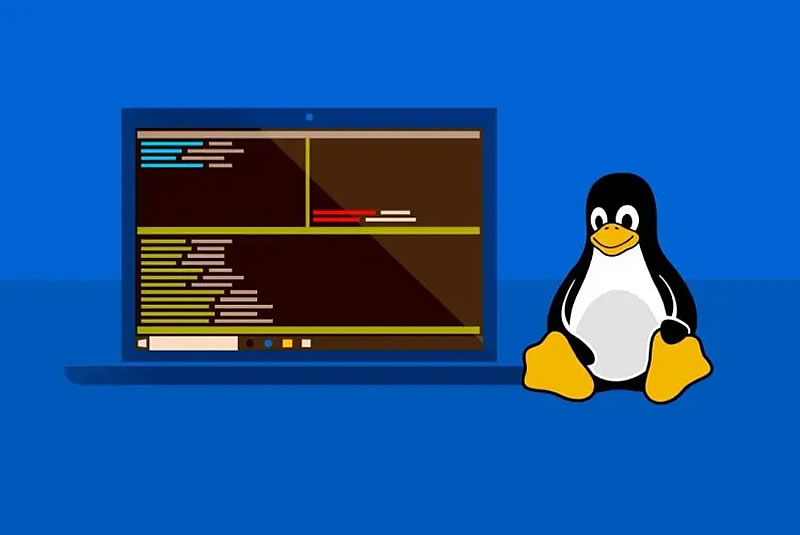Windows&nbsp; 11 ������� ����� �������� ���������� � Linux � ���������� ��� �������������
