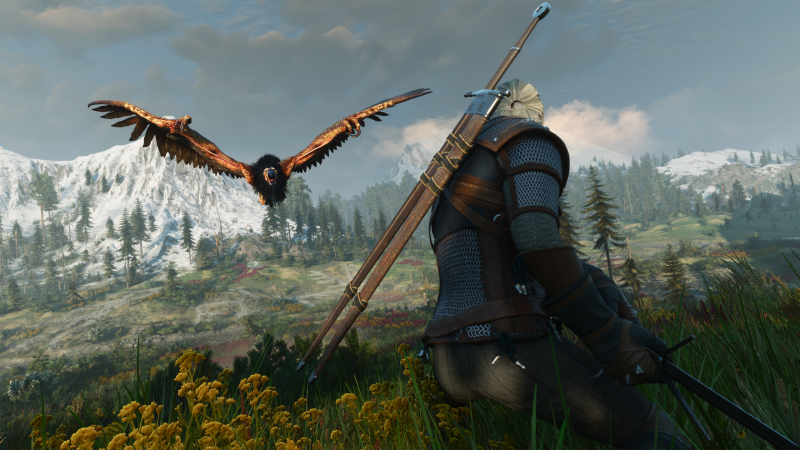 �����&nbsp; ������: ��������� ������������ 46 ��������� � The Witcher 3: Wild Hunt � Remastered
