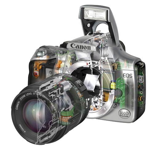  Canon EOS 300D 