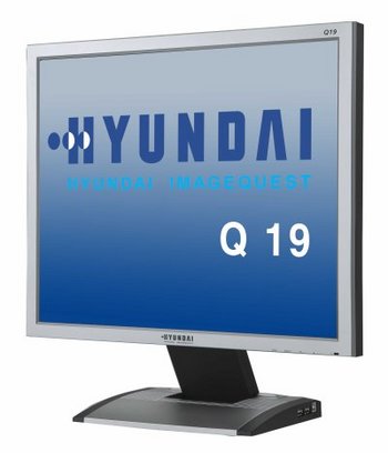 Q19