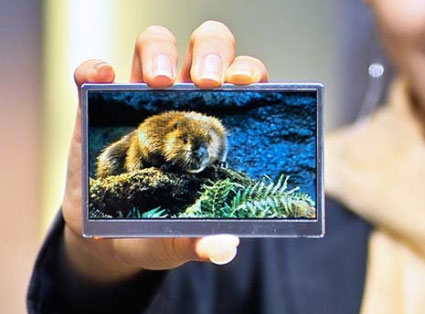 Samsung 4-inch LCD