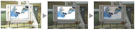 EIZO FlexView 121AH-D