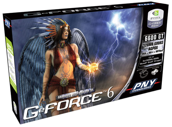 PNY 6600GT AGP