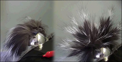Wearable Warnings