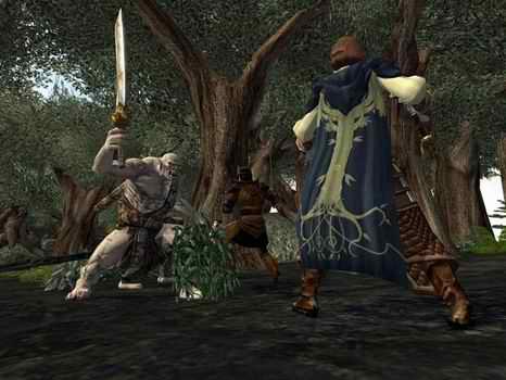 Middle-Earth Online