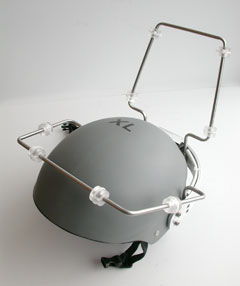 BrainMirror
