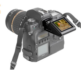 Zigview Digital Angle Finder