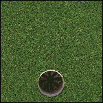 RC Golf