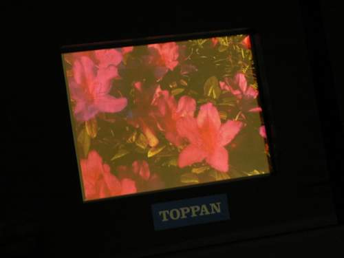«Отпечатанная» EL-панель фирмы Toppan