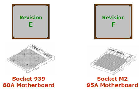 AMD Socket M2