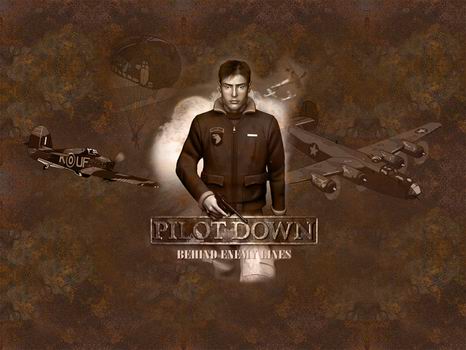 Pilot Down