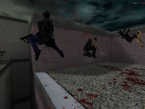 Action Half-Life DC