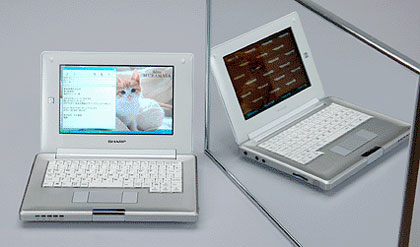 Sharp dual-view