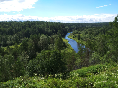 Xiaomi mi max 2 есть ли nfc в телефоне