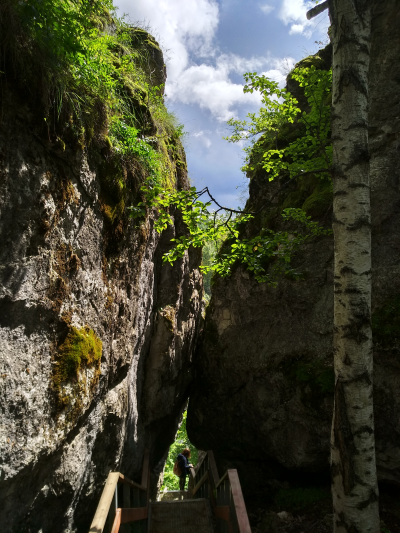 Xiaomi mi max 2 есть ли nfc в телефоне