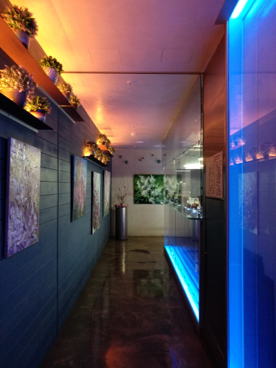 Xiaomi mi max 2 есть ли nfc в телефоне