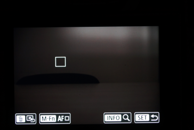 Обзор беззеркальной фотокамеры Canon EOS R: новый байонет и новые амбиции