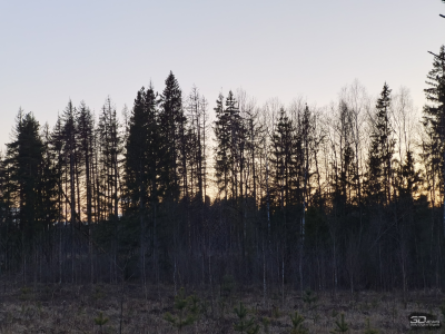 Katsaus Huawei P30 Pron lippulaivapuhelimeen, jossa on markkinoiden parhaat kamerat