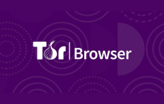 ростелеком tor browser мега