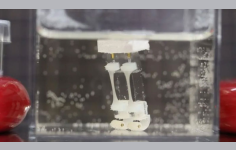 маргарита грачева близкие люди. самые близкие программы. ток шоу телеканале россии 1 ведущие. самые близкие программы. семья презентация к уроку.